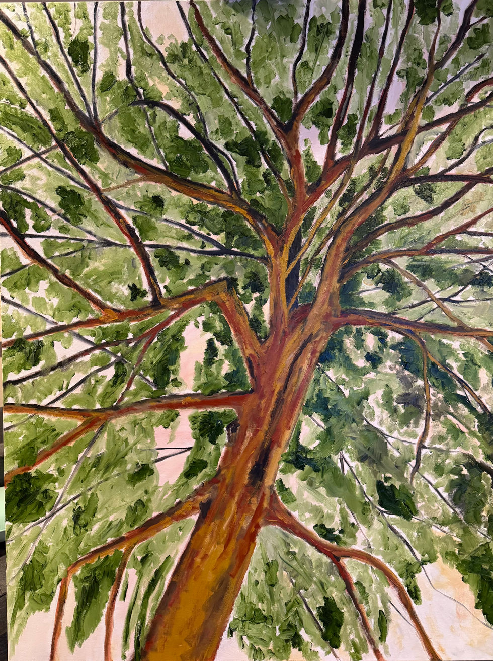 oil on canvas 36"x48" 
inside winter 5