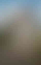 Outono Inverno