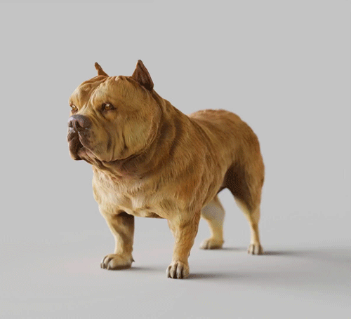 3D.gif