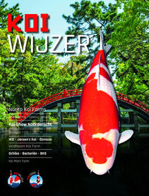 ARTIKEL voor KOI WIJZER kwartaal 02 2024