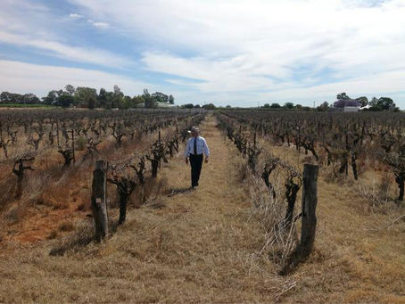 Priced out of the Market