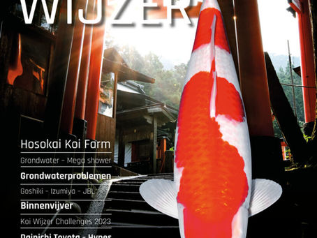 ARTIKEL voor KOI WIJZER kwartaal 01 2023