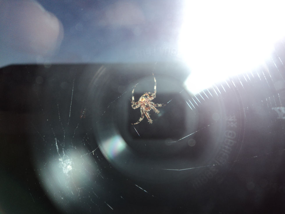 Spinder Camera