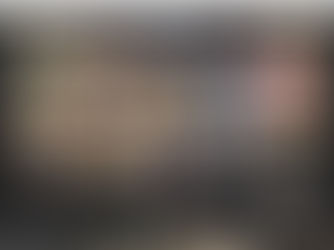 ALSA Legal English Course (ALEC)