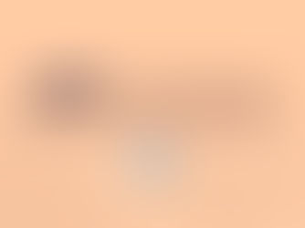 ALSA International Academic Video Conference