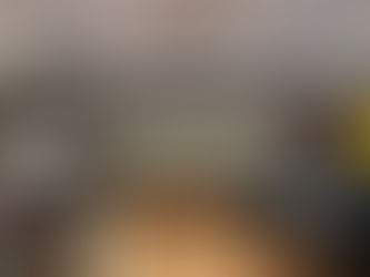 ALSA LEGAL SKILL COURSE #2