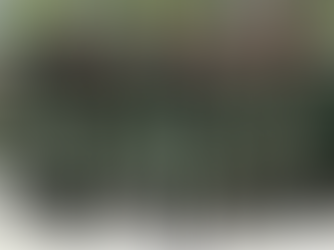 Peradilan Koneksitas tuh apa ya?