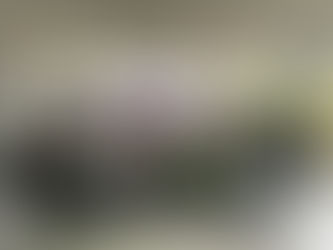 The 13th ALSA English Competition