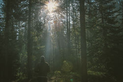 nature-sunny-man-person.jpeg