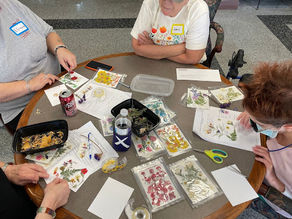 November 2025 Volunteer News & Updates