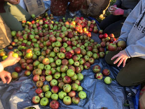 October 2025 Volunteer News & Updates