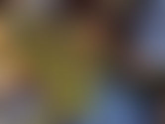 October 2025 Volunteer News & Updates