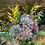 Thumbnail: The Willow Bouquet