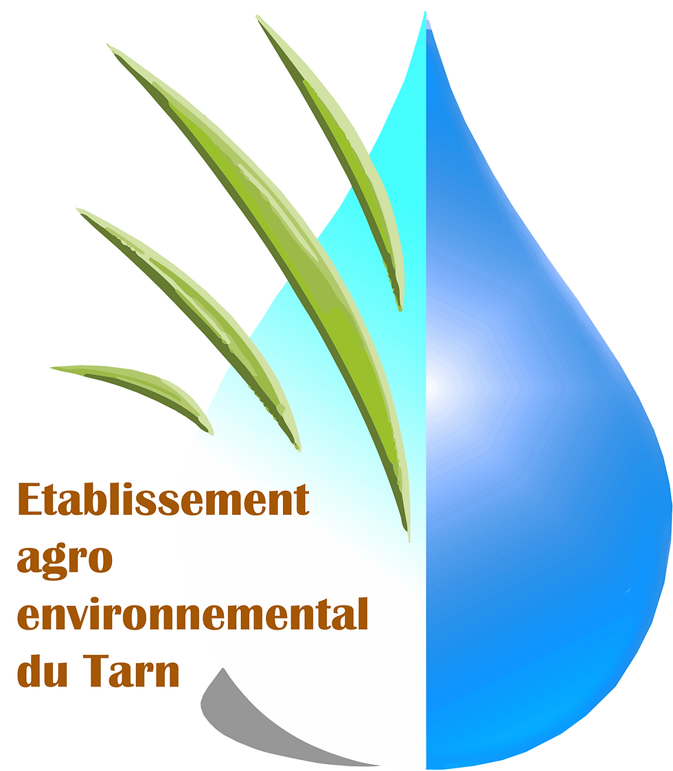 LOGO_fonlabour