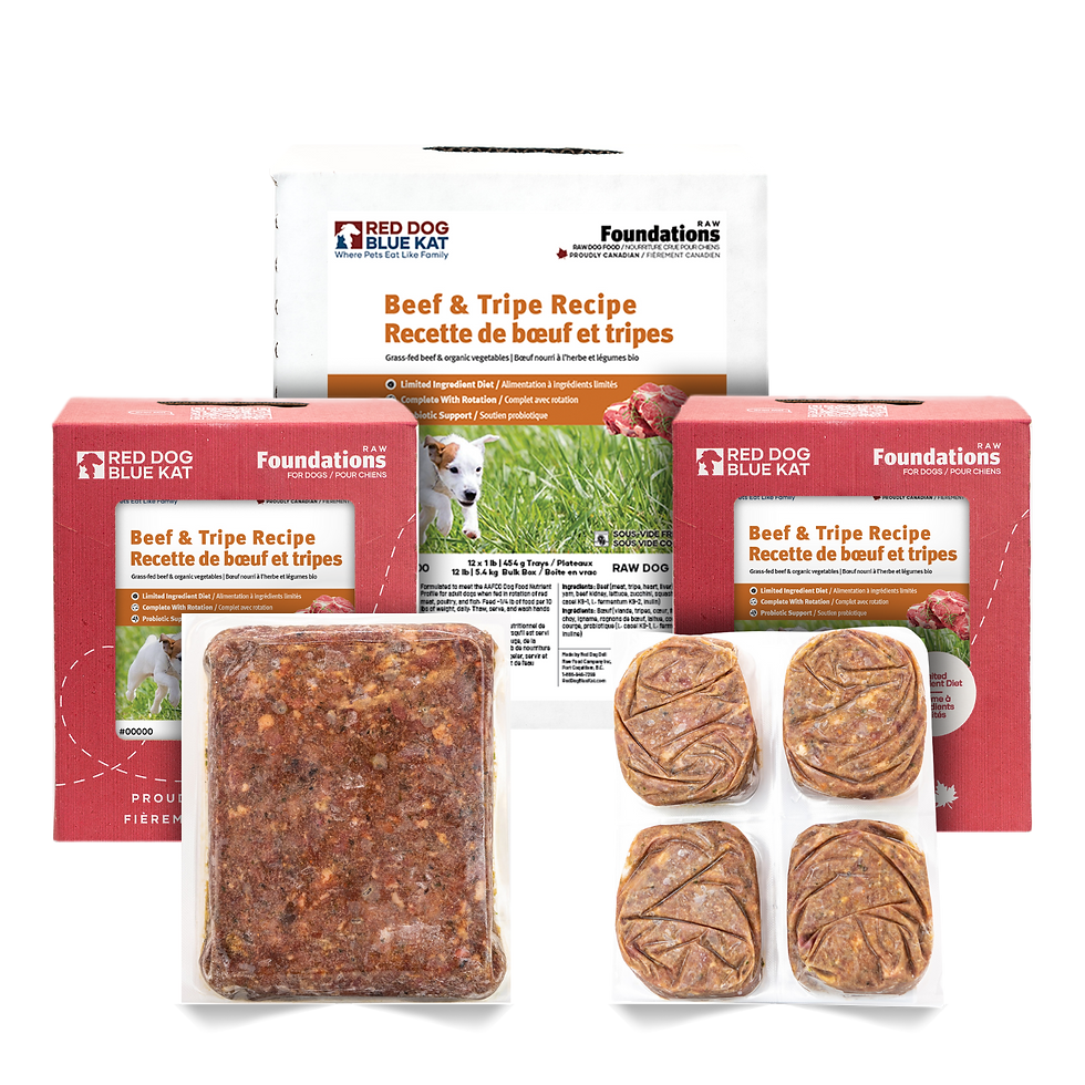 Miniature : Fondations Boeuf & Tripes