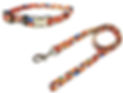 collar-and-leash-1_edited_edited.jpg