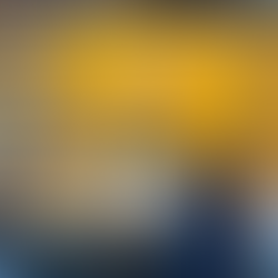 Iron Mule Brewery taproom