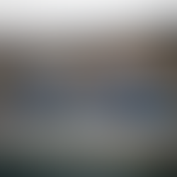 Music at our Field Day