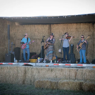 Music at our Field Day