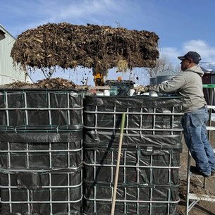 Making some worm tea