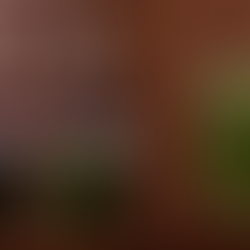 Santanico Pandemonium cocktail