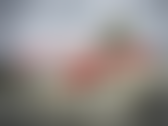 Shutdown Enters Week Five: No End in Sight with SNAP Funds Running out