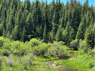 USDA Proposing to Rescind Roadless Rule Impacting Tribal Resources on National Forest Lands