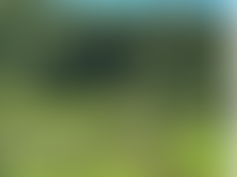 USDA Proposing to Rescind Roadless Rule Impacting Tribal Resources on National Forest Lands