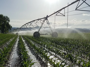 Crops being watered