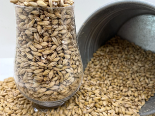 Pilsner Malt