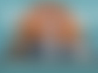 2025 IBC Banner image