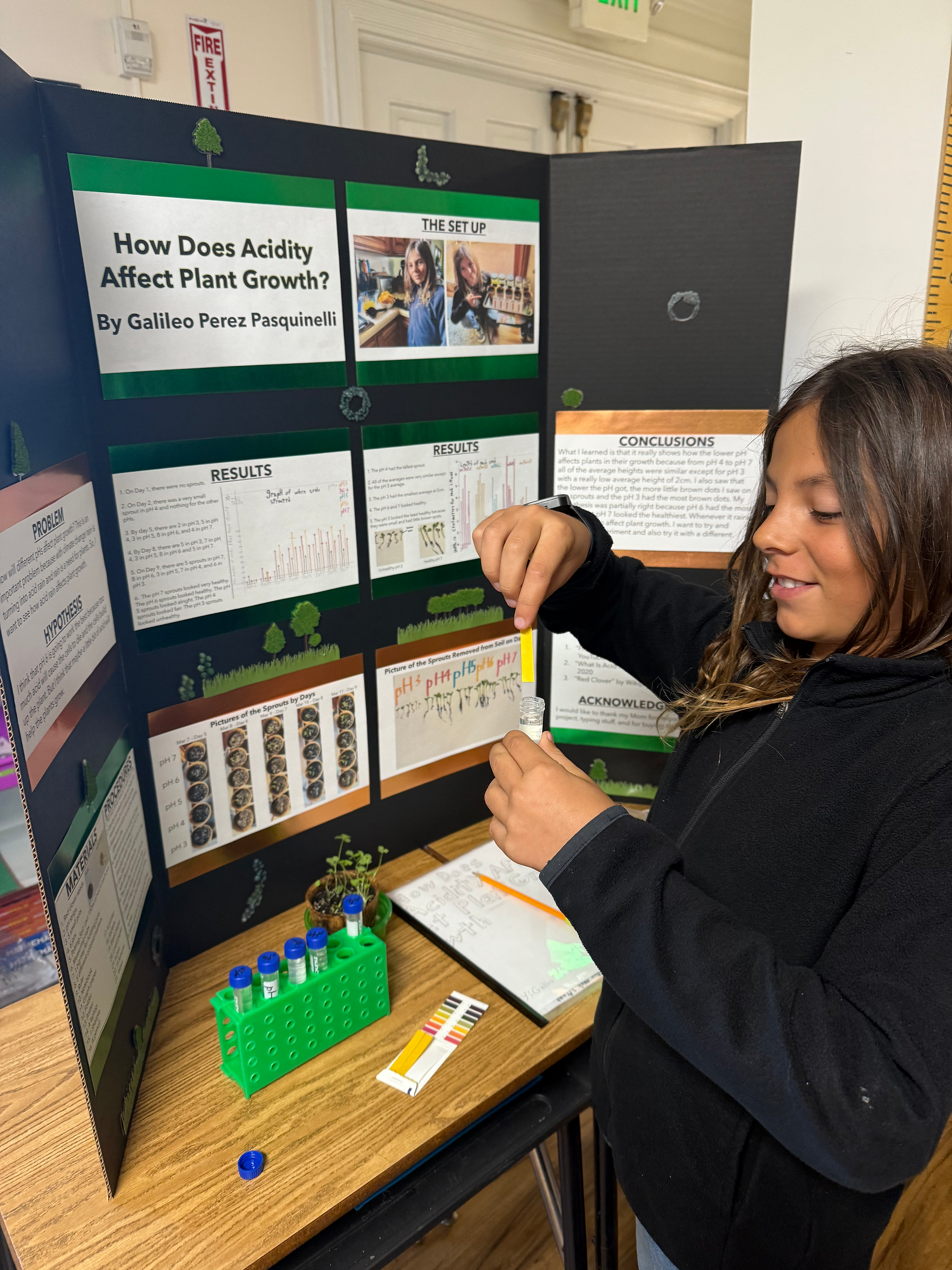 Elementary science fair project testing how soil acidity affects plant growth by 5th grade student