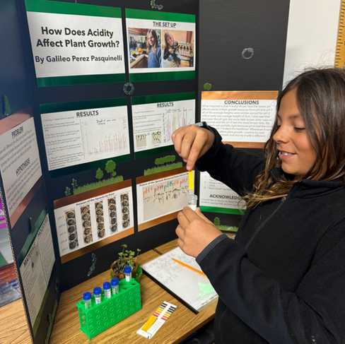 Elementary science fair project testing how soil acidity affects plant growth by 5th grade student
