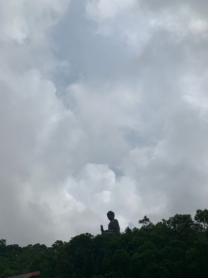 IMG_5575.jpeg