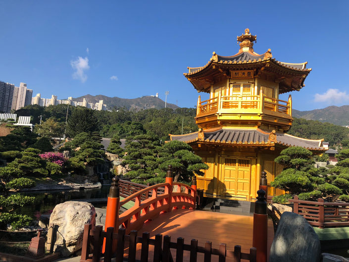 IMG_5345.jpeg