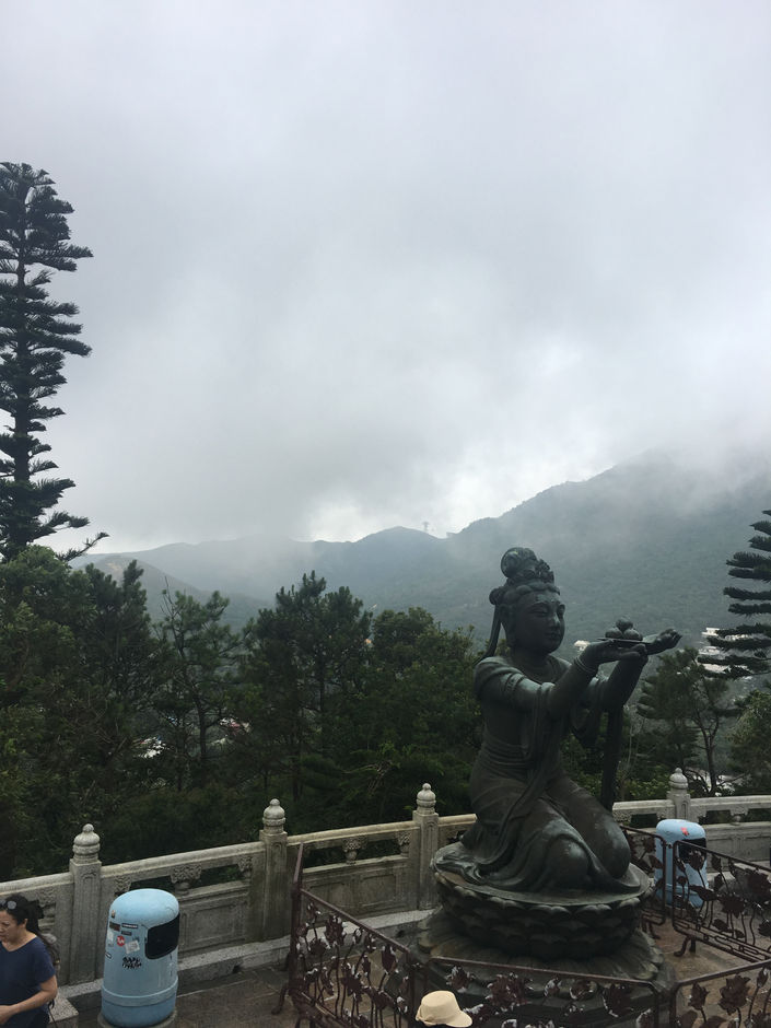 IMG_6911.jpeg