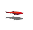 fish.png