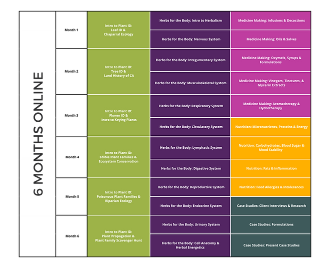 HAP EVERGREEN SCHEDULE(1).png