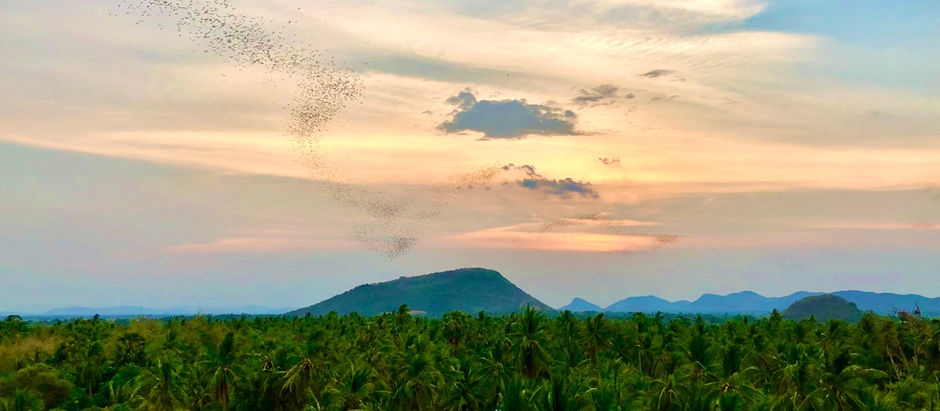 Off the beaten path - Battambang, Cambodia