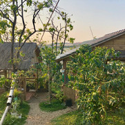 105A9BD0-DEAF-414E-B7BF-FE7083BC6019_1_1