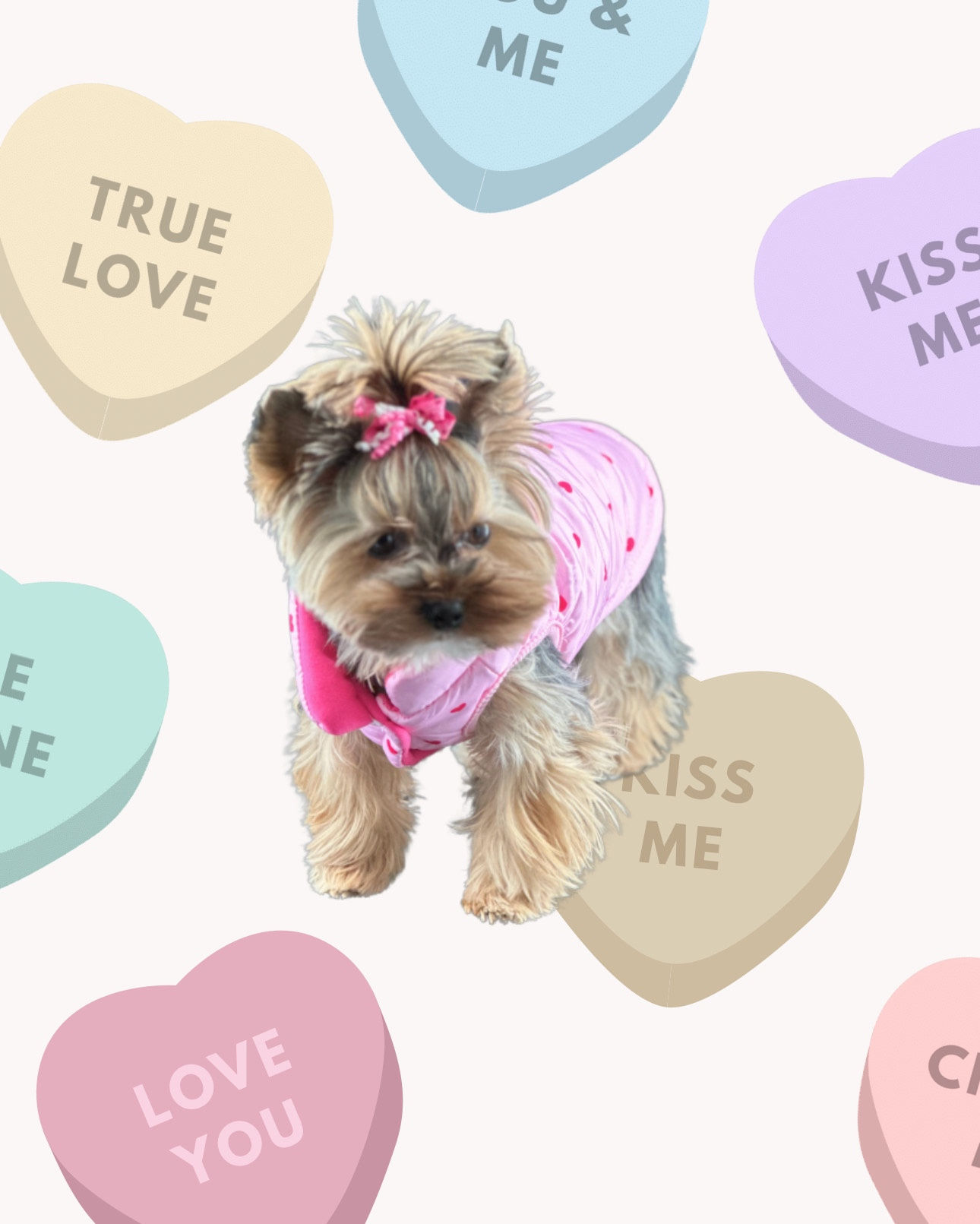 Cupids Heart Vest