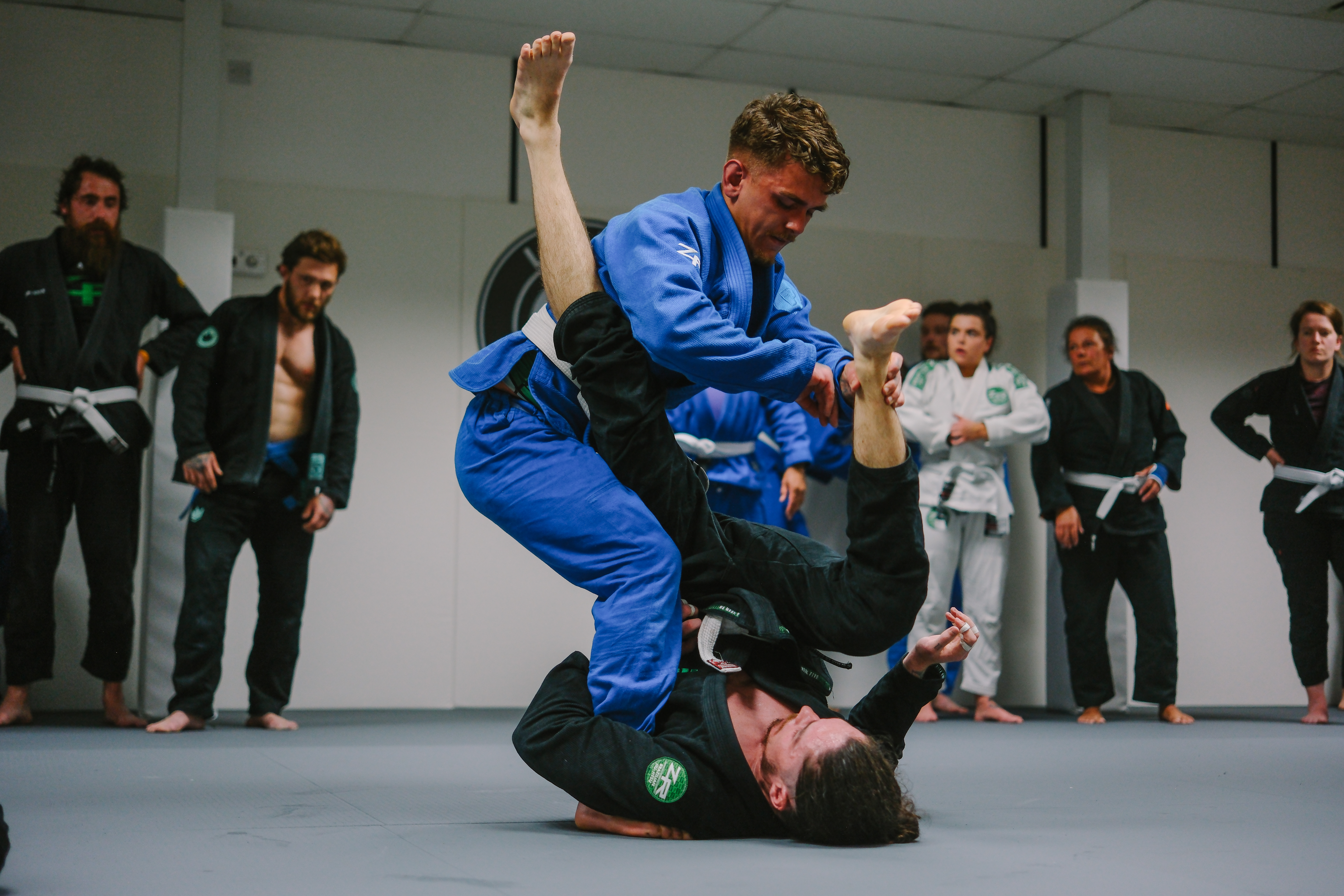 LUNA BJJ ACADEMY main image