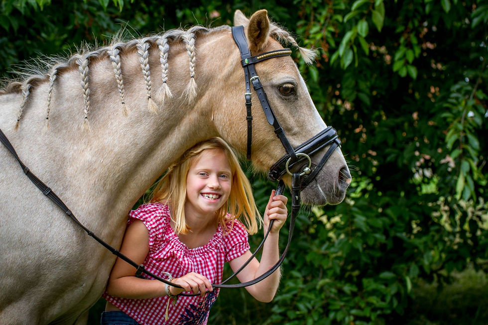 23405852_1754593074551253_33350122120826