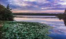 11845214_1055364804474087_80261914190518