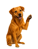 7.png