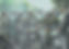 NP PIC_5_edited.jpg