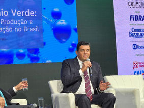 International Cooperation and Regulation in the Green Hydrogen Sector