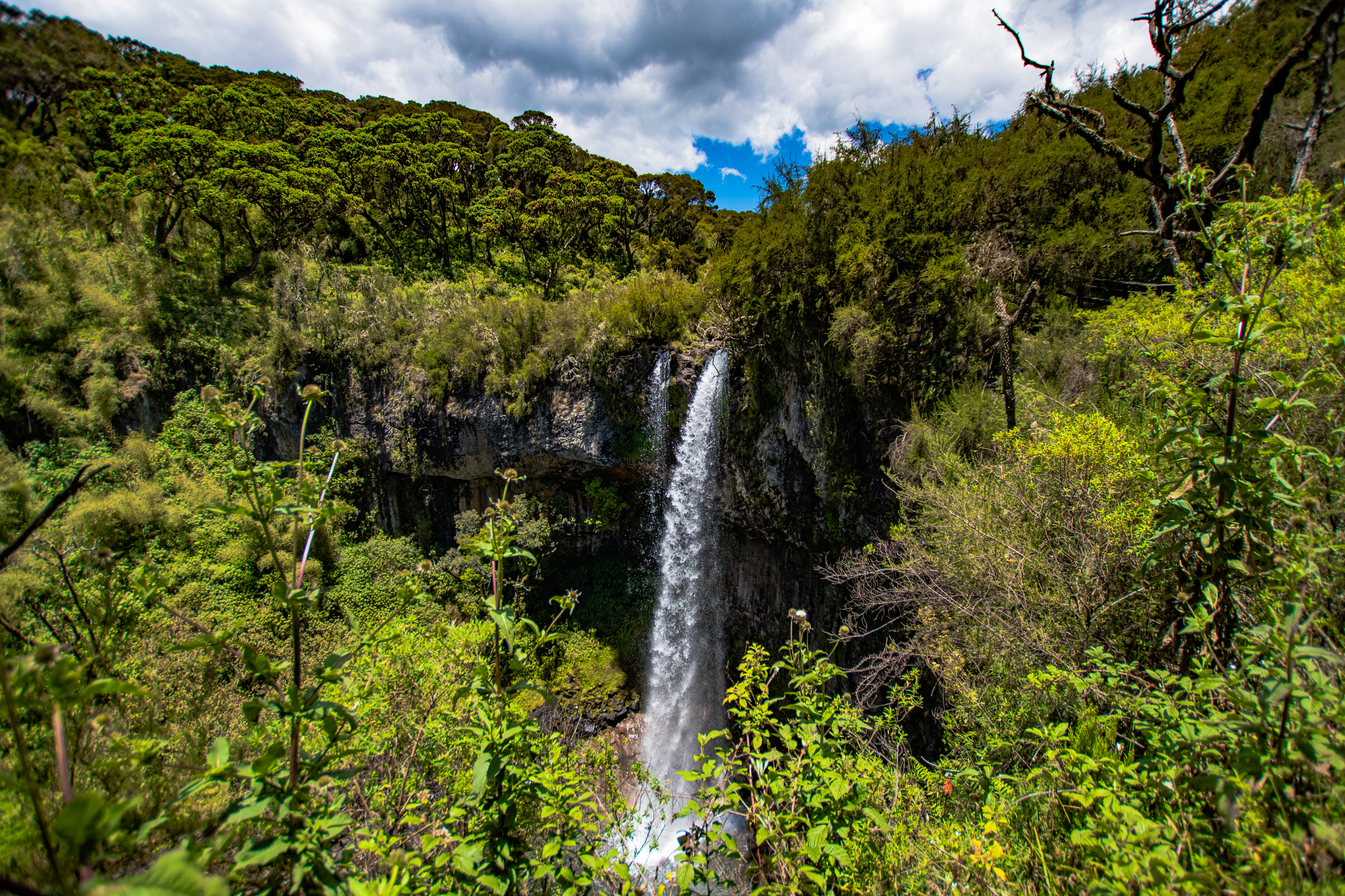 Aberdare Nationalpark | MAREFU