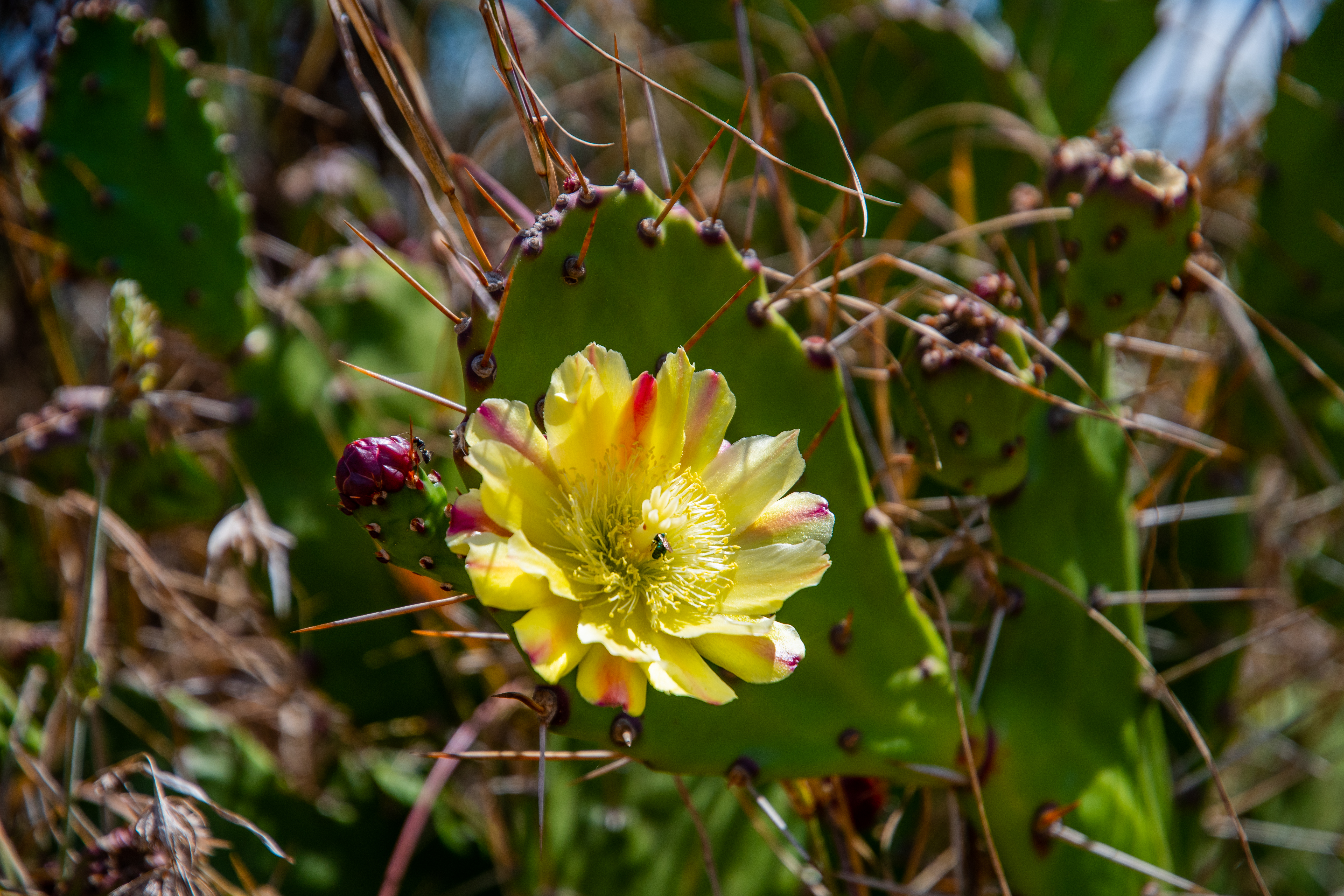 Aberdare Nationalpark | MAREFU