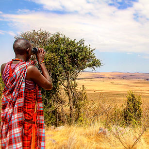 kenia safari und strandurlaub